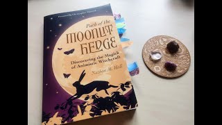 283 Path of the Moonlit Hedge  review [upl. by Erma446]