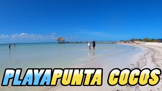 PLAYA PUNTA COCOS Beach Walk  Holbox Island  Mexico 4k [upl. by Nedyah]