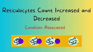 Reticulocyte count associated conditions with increased and decrease retic count [upl. by Ule]