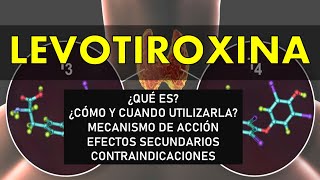 🔴 LEVOTIROXINA  PARA QUÉ SIRVE MECANISMO DE ACCIÓN EFECTOS SECUNDARIOS Y CONTRAINDICACIONES [upl. by Guenna]