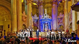 Concierto de Villancicos de Manuel Lombo quotAndalucía canta a la Navidadquot Málaga 2016 [upl. by Eigriv]