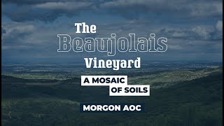 Morgon  The Beaujolais Vineyard a Mosaic of Soils [upl. by Uriah]