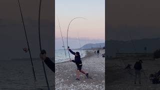 Surfcasting in Sicilia in Pendulum cast surfcasting surffishing fishing longcasting viralvideo [upl. by Yor]