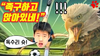 족구하고 앉아있는 영화 ㅋㅋㅋㅋ 족구왕 [upl. by Ennairrac667]