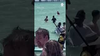 Shark surprises Fourth of July beachgoers in Florida Panhandle  ABC News [upl. by Onfre329]