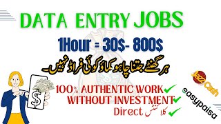 Data Entry Jobs Work From Home  Data Entry Online Work 2024  Data Entry Jobs Apply Now [upl. by Hurff]