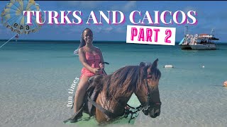 SOLO Trip To Turks amp Caicos  Day 3  4 parasailing horseback riding adventure cruise [upl. by Ajssatsan]