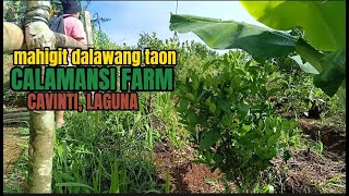 CALAMANSI FARM VISIT CAVINTI LAGUNA [upl. by Laerol]