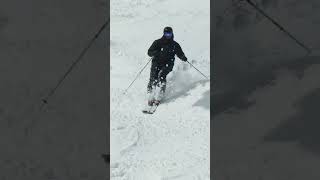 2025 Mens 100 mm Freeride Ski Comparison Teaser with SkiEssentialscom [upl. by Fried]