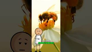 Bees Can Make Coloured Honey🐝 SHOCKING Fact facts factshorts animalfacts funfacts shocking [upl. by Nirrok]