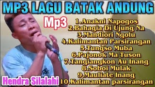 MP3 2024 LAGU ANDUNGHENDRA SILALAHI hendrasilalahi [upl. by Zina441]