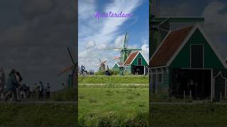 AMSTERDAM CRUISE PORT WINDMILLS  Cheap day trip  travel retirement tour cruise music [upl. by Meid171]