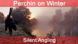 Perch Fishing River UK  Float Centerpin Worms  tips tricks tackle bait approach  Silent Angling [upl. by Adelle]