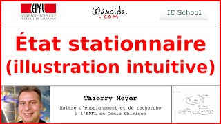 État stationnaire  Illustration intuitive  Thierry Meyer [upl. by Alf882]