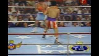 SALVADOR SANCHEZ VS WILFREDO GOMEZ PELEA COMPLETA TONY ANDERE COMPLETE FIGHT [upl. by Lamdin]