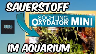 Um ausreichend Sauerstoff im Aquarium zu haben  der Oxydator MINI  Aquarium Technik  BiBiG [upl. by Azile142]