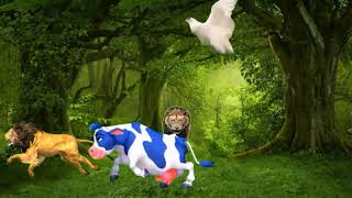 cow 🐄 video animal lion 🦁 Tiger shorts cartoon trending video shorts [upl. by Haerb]