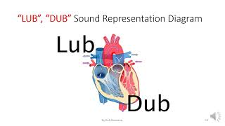 STUDY OF PHONOCARDIOGRAM [upl. by Askwith]