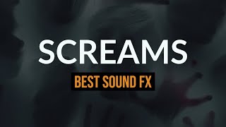 Best Scream 😱 Sound Effects  Female Male Zombie Horror Screams And Shrieks [upl. by Villiers]