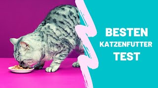 Die Besten Katzenfutter Test Top 5 [upl. by Teresita]