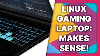 A Linux gaming Laptop isnt as crazy as it sounds Slimbook Hero review [upl. by Hanej]