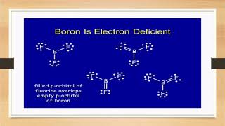 BS BOTANY  bonding in electron deficient compound  AMMARAH ISHTIAQ [upl. by Norb]