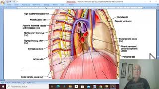 Respiratory Module 21  Azygos veins by Dr Wahdan [upl. by Nada]