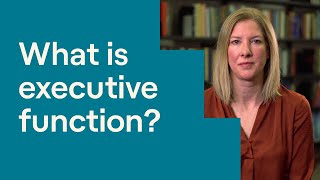 What Is Executive Function [upl. by Uhthna]