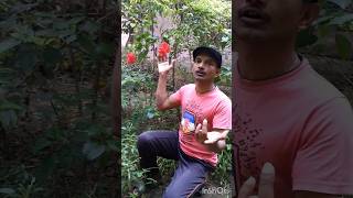 Ful keno lal hoy nature karaokesongs bengalisong ytshort [upl. by Ia]