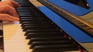 Home Flashmob  Chopin Prelude op28 No4 [upl. by Bonne]