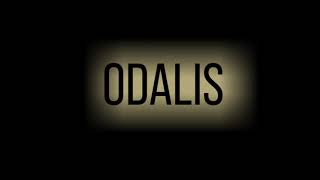 Odalis Grand Vin des Vignerons de Buzet [upl. by Saihtam]