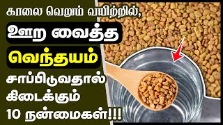 வெந்தயம் மருத்துவ நன்மைகள்  Top 10 Health Benefits of Soaked Fenugreek Seeds in Tamil  venthayam [upl. by Lakym659]