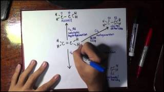 17 Reactions of Alkenes and Alkynes [upl. by Rases]