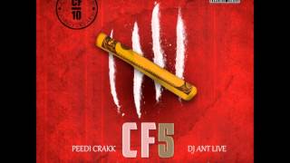 Peedi Crakk Ft DOPE  Shit Aint Work 2013 CDQ NEW Dirty [upl. by Johannes]