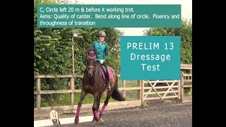 Learn The Prelim 13 2006 Dressage Test [upl. by Suzetta]