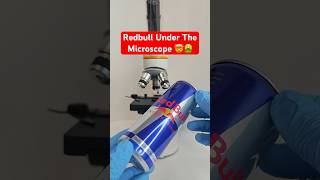 RED BULL Under The Microscope 🤮🤢 [upl. by Lledraw]