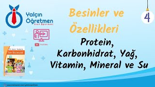 4 Sınıf Fen Bilimleri  Besinler ve Özellikleri [upl. by Mcconnell433]