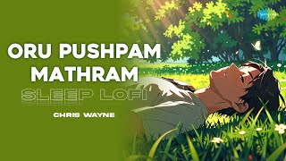 Oru Pushpam Mathram  Sleep Lofi  Pareeksha  MS Baburaj  KJ Yesudas  Chris Wayne [upl. by Aigil]