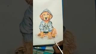 Colour pencil sketch dog [upl. by Hutt]