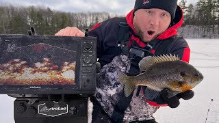 Jigging up Big Bluegills in Shallow Weeds using LIVESCOPE LVS34 [upl. by Aicile]