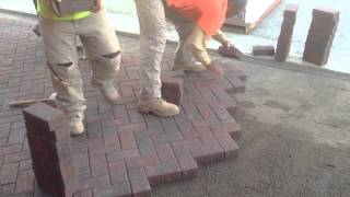 Installing Pavers herring bone on 45 [upl. by Ivek7]