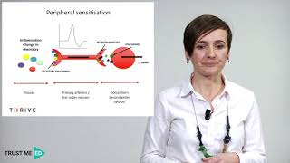 What is peripheral sensitization [upl. by Basso]