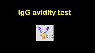 IgG avidity test  explained in just 2 minutes [upl. by Holcomb]