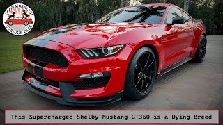 This Supercharged Shelby Mustang GT350 is a Dying Breed [upl. by Sweeney]