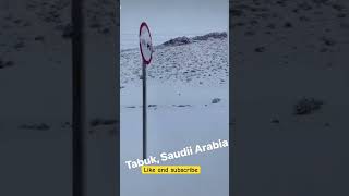 Tabuk Saudi arabia [upl. by Anneehs258]