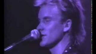 Sting amp Police  King Of Pain Live [upl. by Illehs]