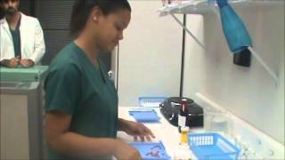 Counting Prescription Medication for Pharmacy Technicians [upl. by Amby136]