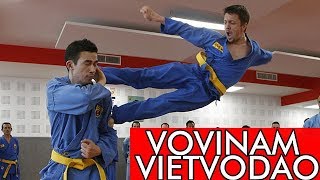 LE VOVINAM VIET VO DAO ART MARTIAL MECONNU [upl. by Georgie]