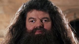 MAD HAGRID [upl. by Maccarone]