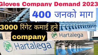 Hartalega Gloves Company Demand 2023 Nepal महिनाको ३००० रिंगेट सम्म कमाई हुने कम्पनी डिमान्ड। [upl. by Nirol]